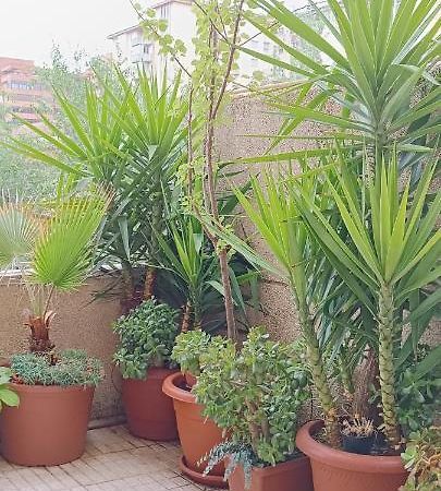 Apartamento Turistico Principe Caceres At-Cc-00415 Caces المظهر الخارجي الصورة