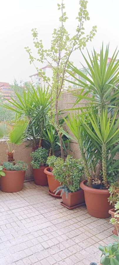 Apartamento Principe Caces المظهر الخارجي الصورة