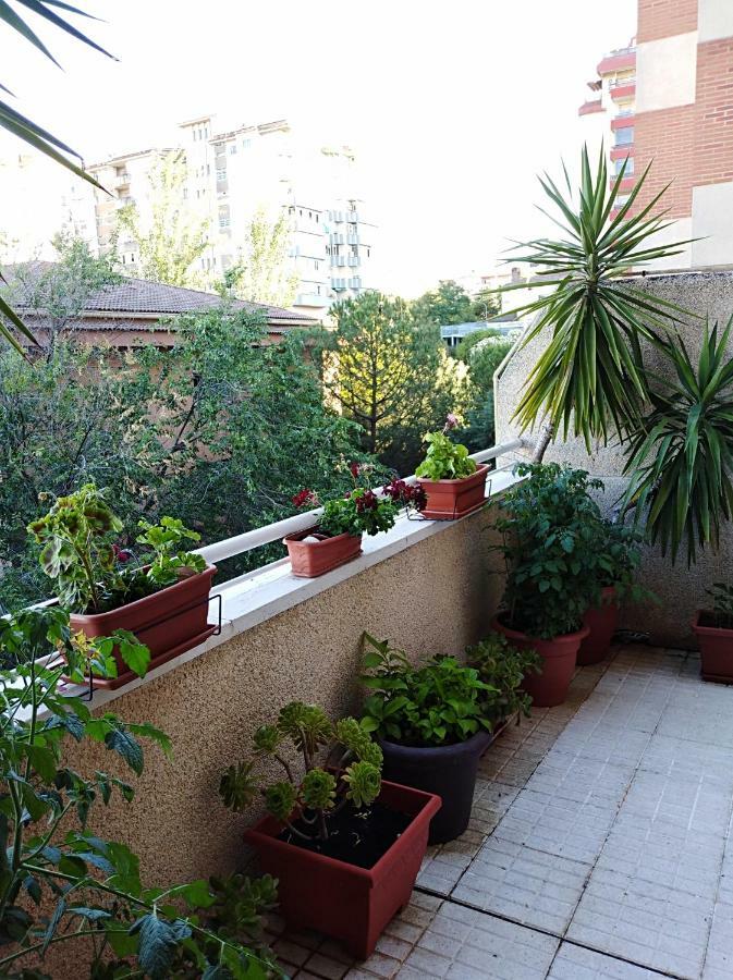 Apartamento Principe Caces المظهر الخارجي الصورة
