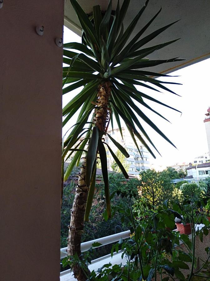 Apartamento Turistico Principe Caceres At-Cc-00415 Caces المظهر الخارجي الصورة